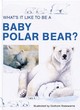 Image for What&#39;s it like to be a baby polar bear?