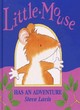 Image for Little Mouse has an adventure
