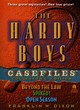 Image for The Hardy Boys Casefiles
