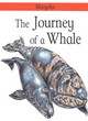 Image for WHALE