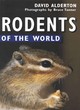 Image for Rodents of the World