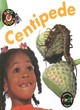 Image for Bug Books: Centipede