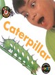 Image for Bug Books: Caterpillar