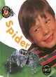 Image for Bug Books: Spider