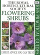 Image for Flowering shrubs