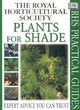 Image for Plants for shade