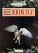 Image for Nature&#39;s Mysteries: How Birds Fly
