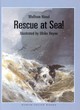 Image for Rescue at sea!
