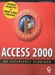 Image for Access 2000  : no experience required