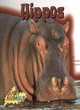 Image for Hippos