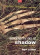 Image for Suddenly As A Shadow