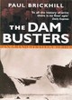 Image for The dam busters