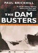 Image for The Dam Busters