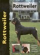 Image for Rottweiler