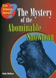Image for The Mystery of the Abominable Snowman