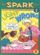 Image for Light and wrong