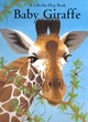 Image for Baby giraffe  : a lift-the-flap book