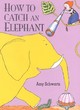 Image for How to Catch An Elephant
