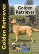 Image for Golden Retriever