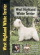 Image for West Highland white terrier