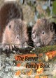 Image for The beaver family book
