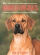 Image for The Rhodesian Ridgeback Today