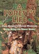 Image for A forest&#39;s life  : from meadow to mature woodland