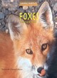 Image for Foxes and Their Homes
