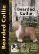 Image for Bearded Collie