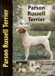 Image for Jack Russell terrier