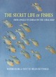 Image for The secret life of fishes  : from angels to zebras on the coral reef