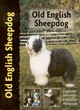 Image for Old English Sheepdog