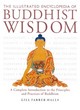 Image for The illustrated encyclopedia of Buddhist wisdom