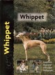 Image for Pet Love Whippet