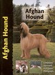 Image for Afghan hound