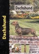 Image for Dachshund