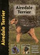 Image for Airedale terrier