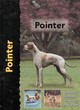Image for Pointer