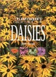 Image for The plantfinder&#39;s guide to daisies