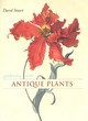 Image for Gardening with Antique Plants