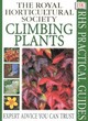 Image for RHS Practical Guide:  Climbing Plants