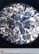 Image for The Diamond As Big As the Ritz And Other Stories