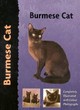 Image for Burmese cat