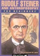 Image for Rudolf Steiner and anthroposophy for beginners