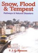 Image for Snow, Flood, and Tempest: Railways and Natural Disasters