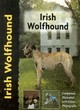 Image for Pet Love Irish Wolfhound