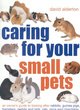 Image for Caring for your small pets  : an owner&#39;s guide to looking after rabbits, guinea pigs, hamsters, gerbils and jirds, rats, mice and chinchillas