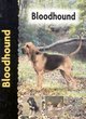 Image for Bloodhound