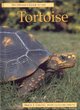 Image for Pet Owner&#39;s Guide to the Tortoise