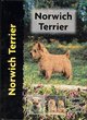 Image for Norwich terrier